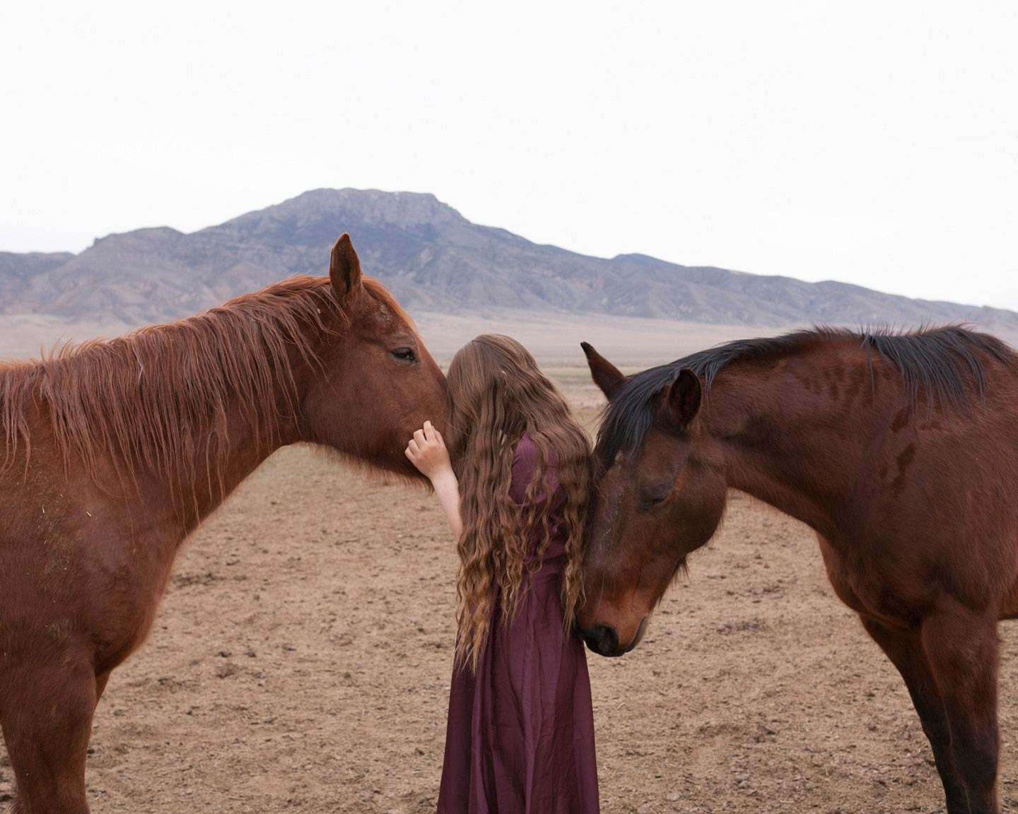 The Woman Who Married a Horse © Wilma Hurskainen