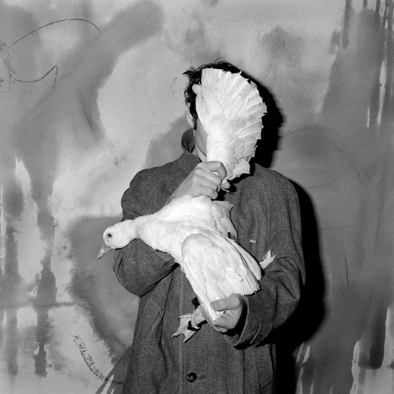 Asylum of the Birds © Roger Ballen