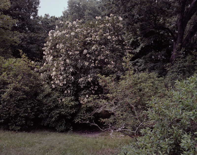 © Chelsea Welsh