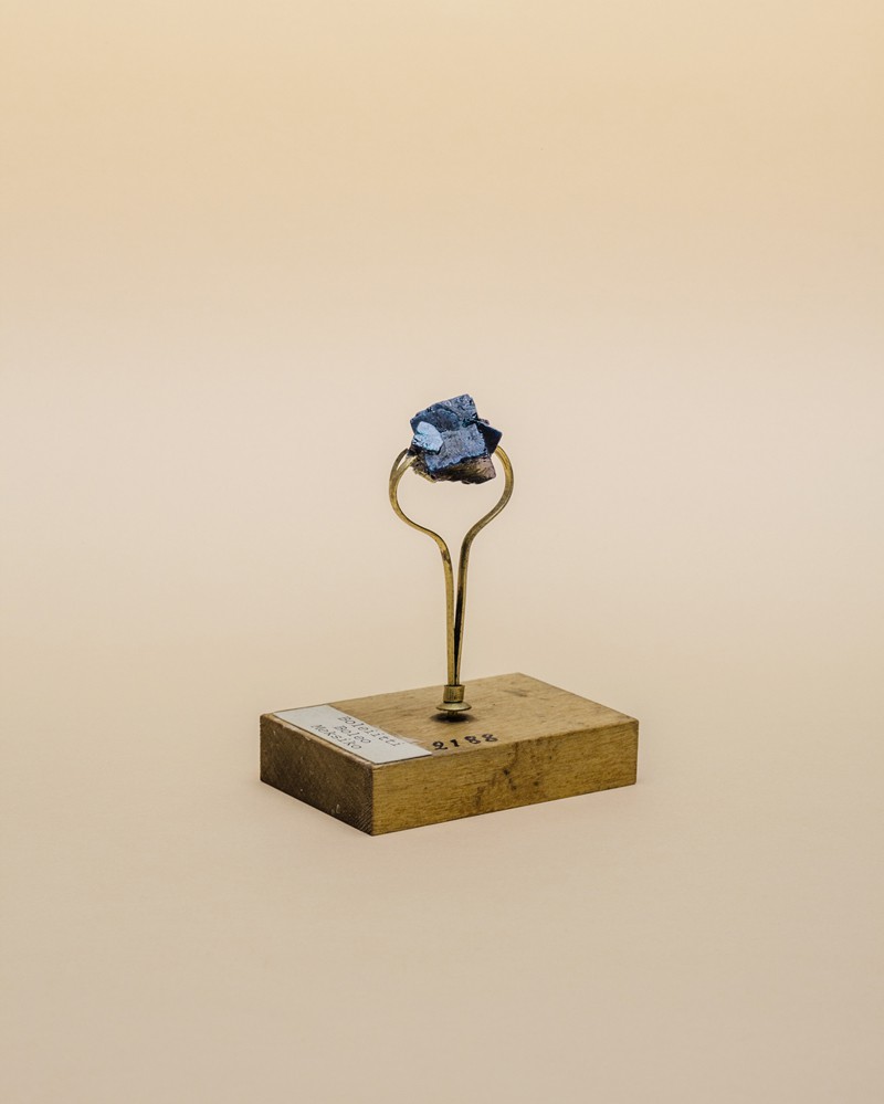 © Felicia Honkasalo