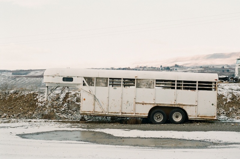 © Trever Barber