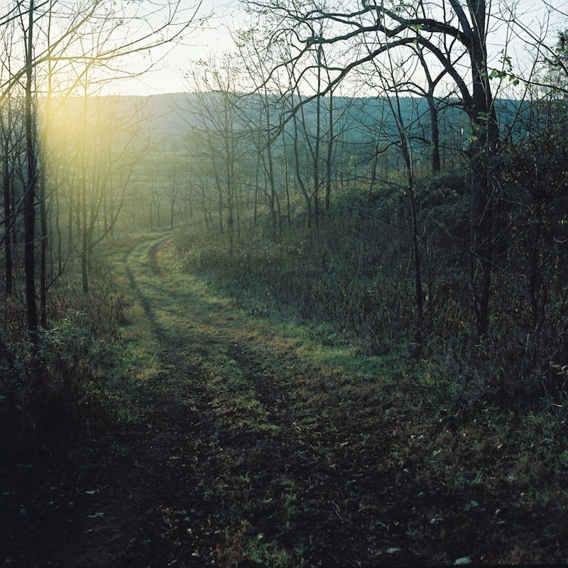 © Trever Barber