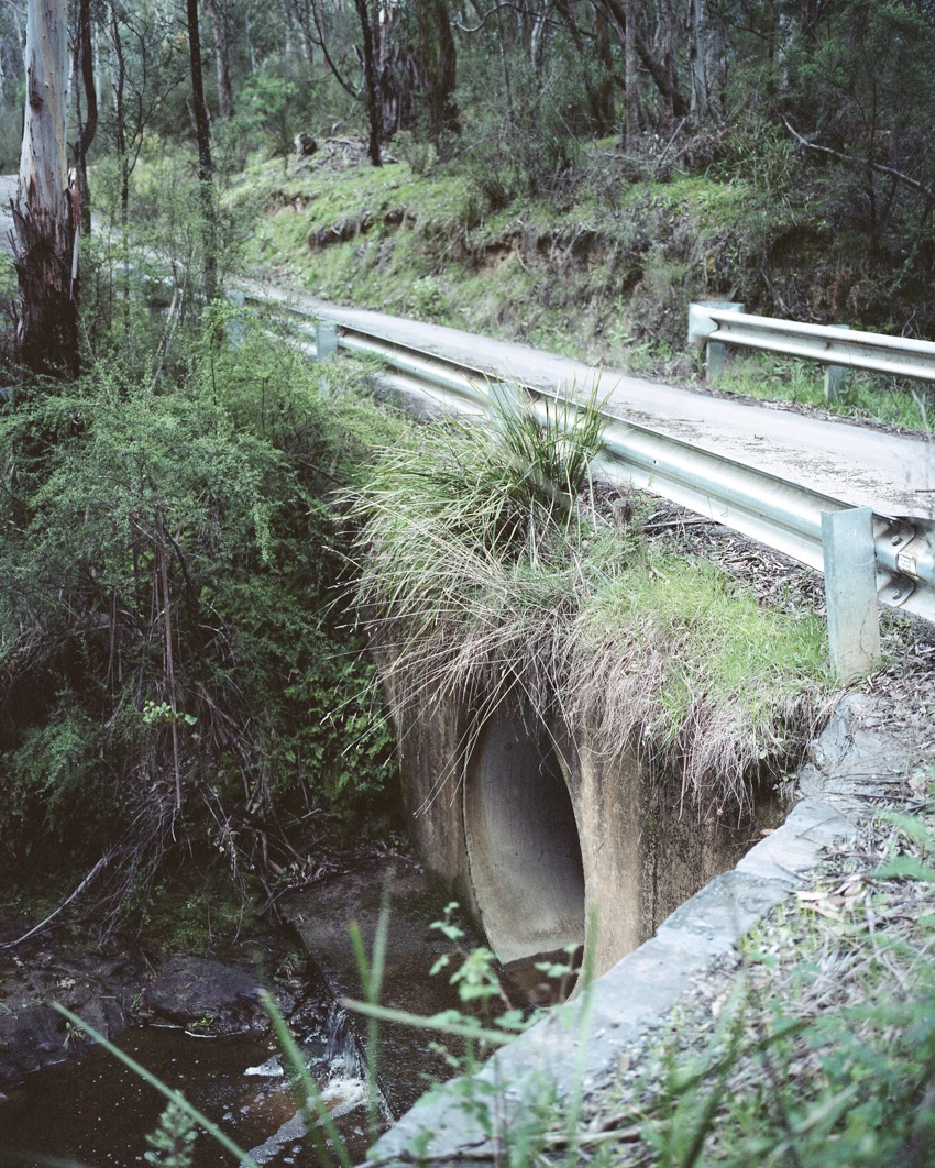 Backwoods © Jordan Madge