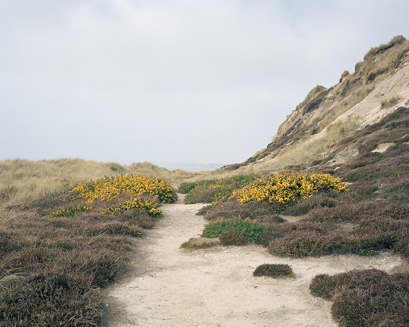 Lost + Found © Laura Ford