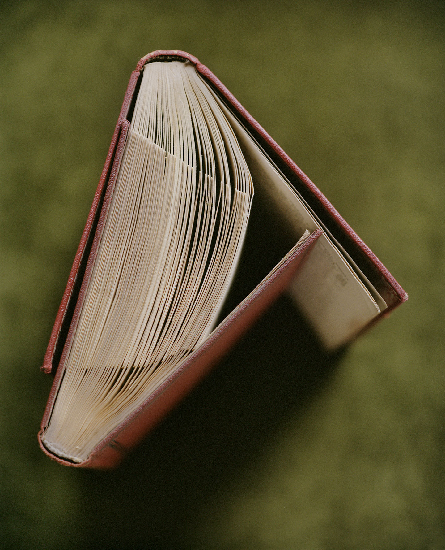 Bird, Bald, Book, Bubble, Brick, Potato © Marton Perlaki