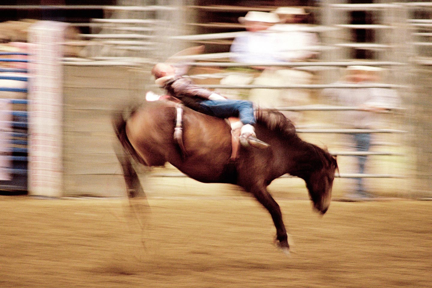 Cowboys © Stefano Galli