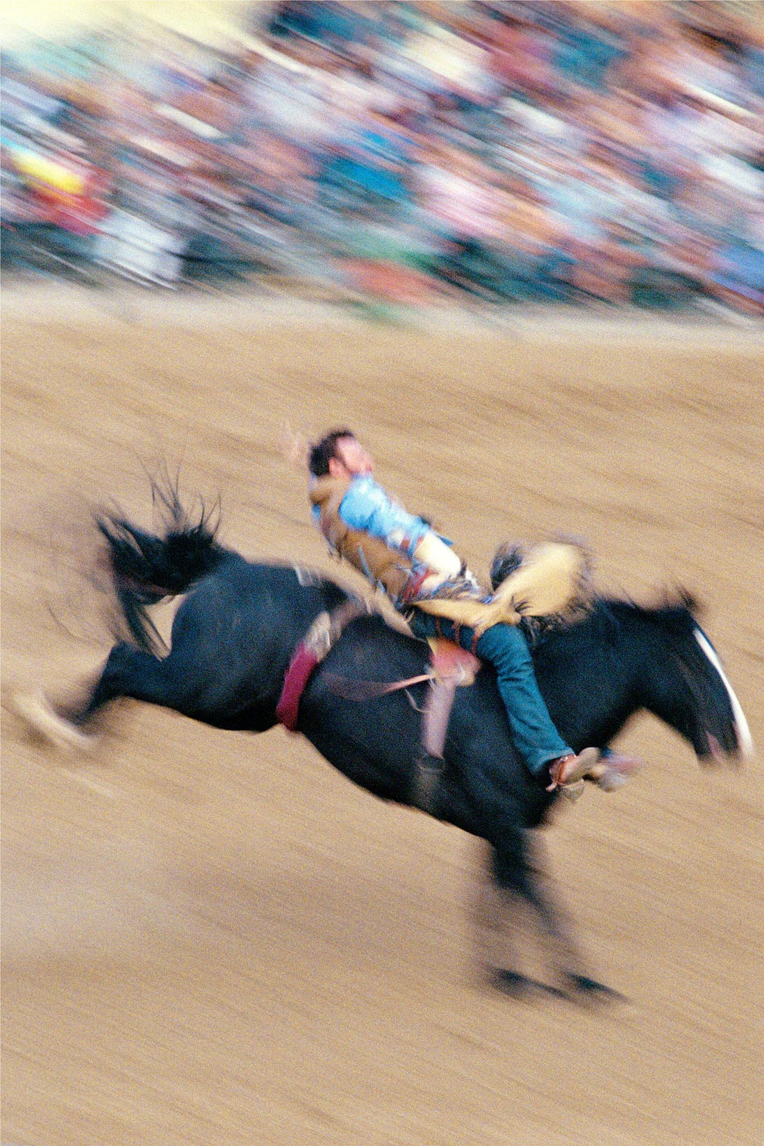 Cowboys © Stefano Galli