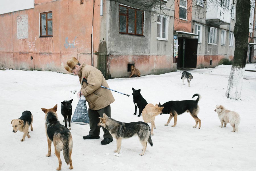 FotoWeb - Your guide to the best of photography on the web