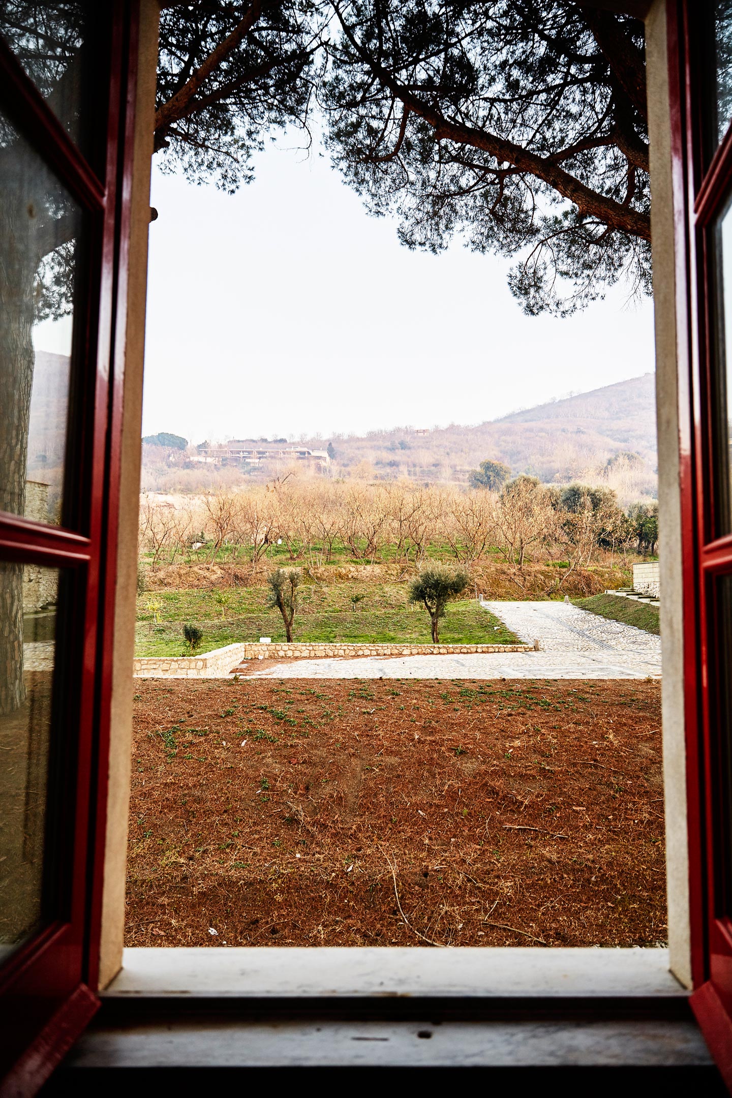 Biography / Threshold © Giovanni Ambrosio
