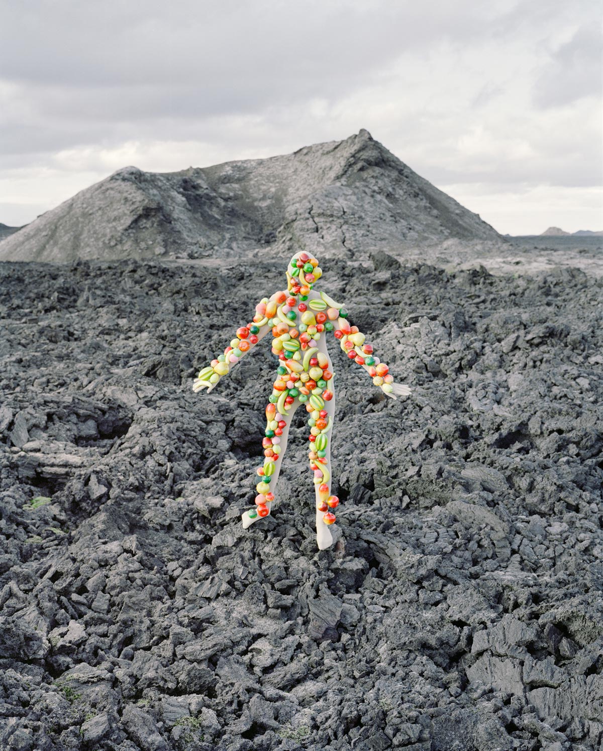 synchrodogs-8