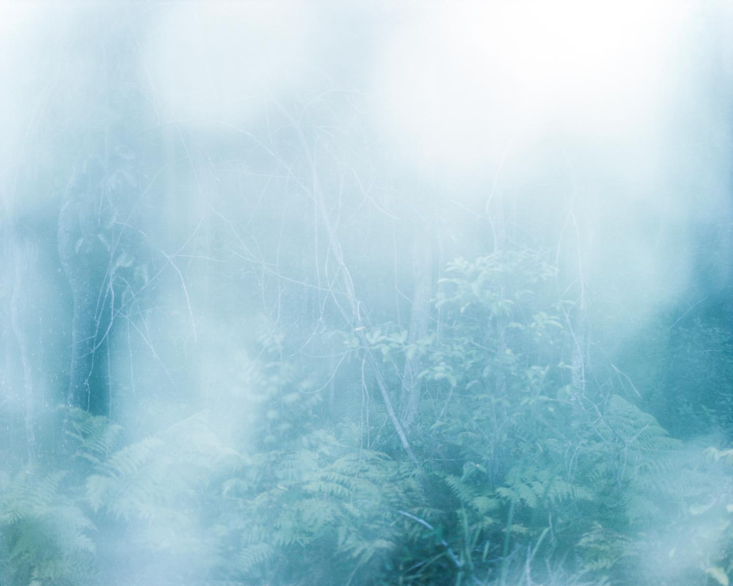 Indefinitely © Katrin Koenning