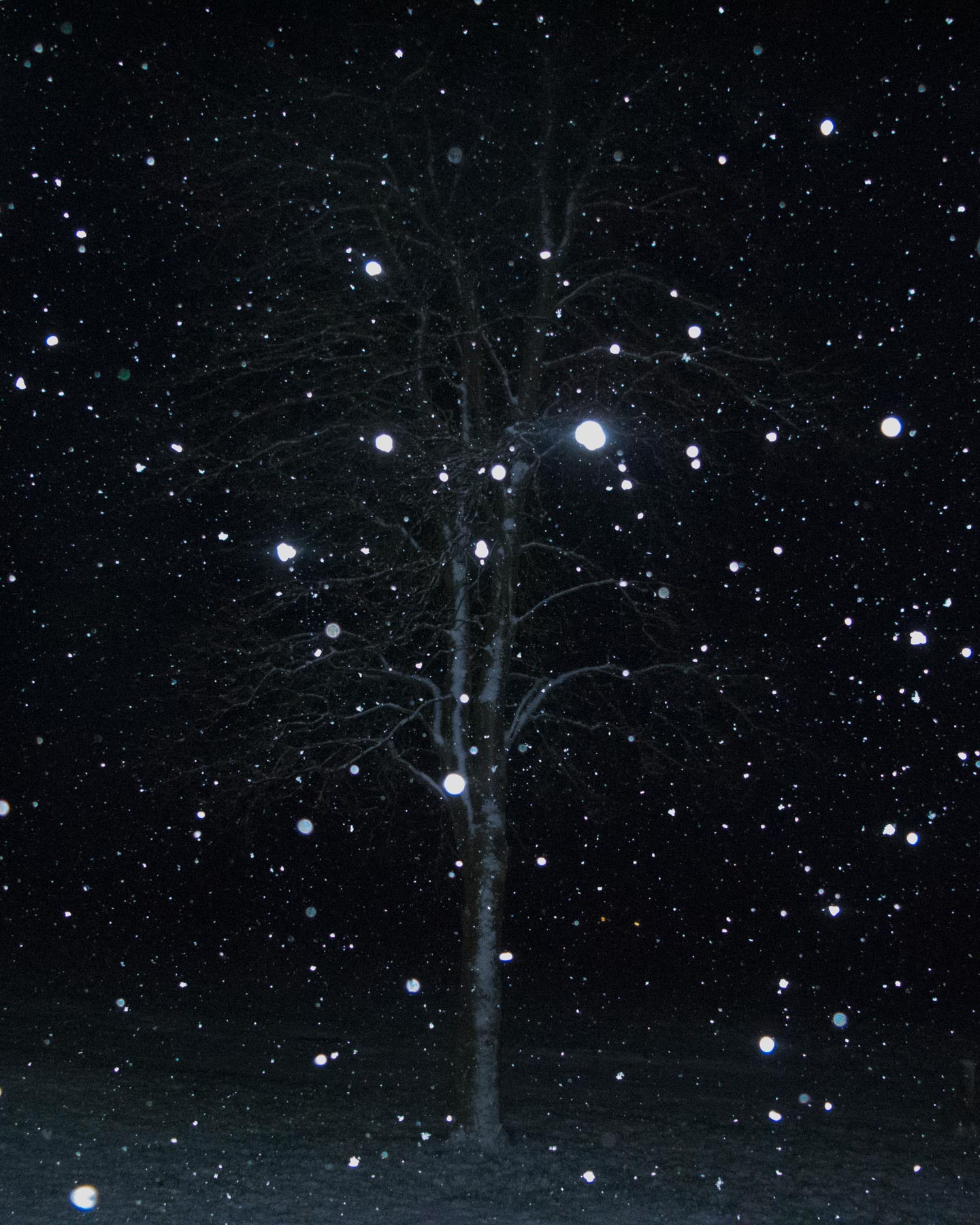 Indefinitely © Katrin Koenning