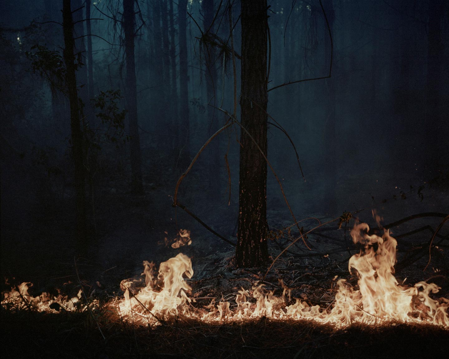 Indefinitely © Katrin Koenning