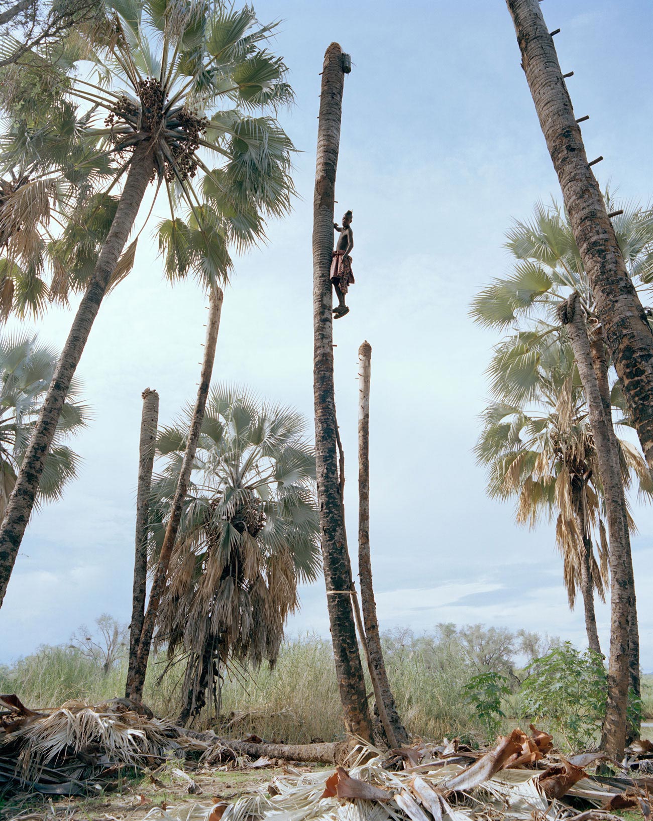 Palm Wine Collectors © Kyle Weeks