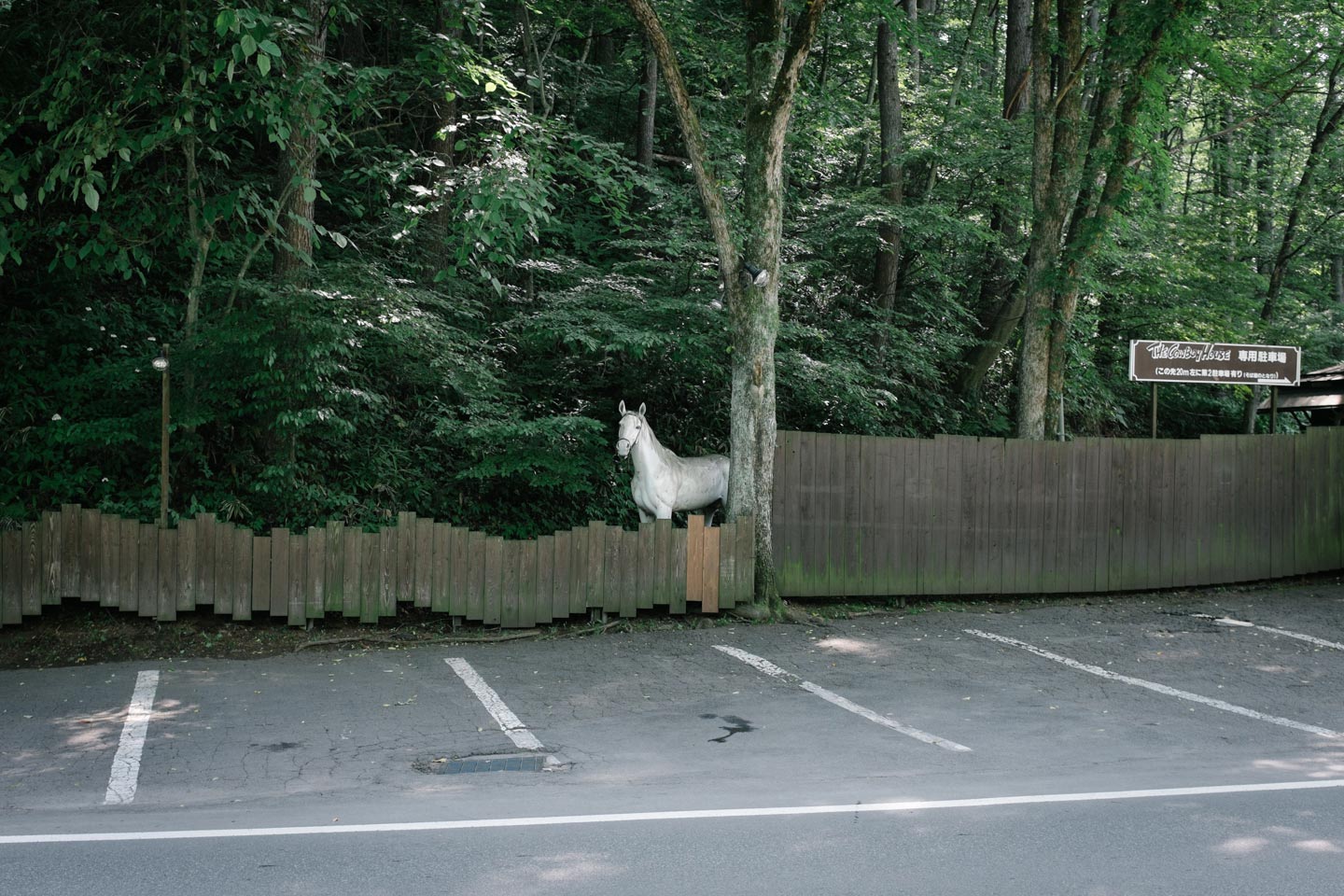 From Somewhere, to Elsewhere © Yota Yoshida