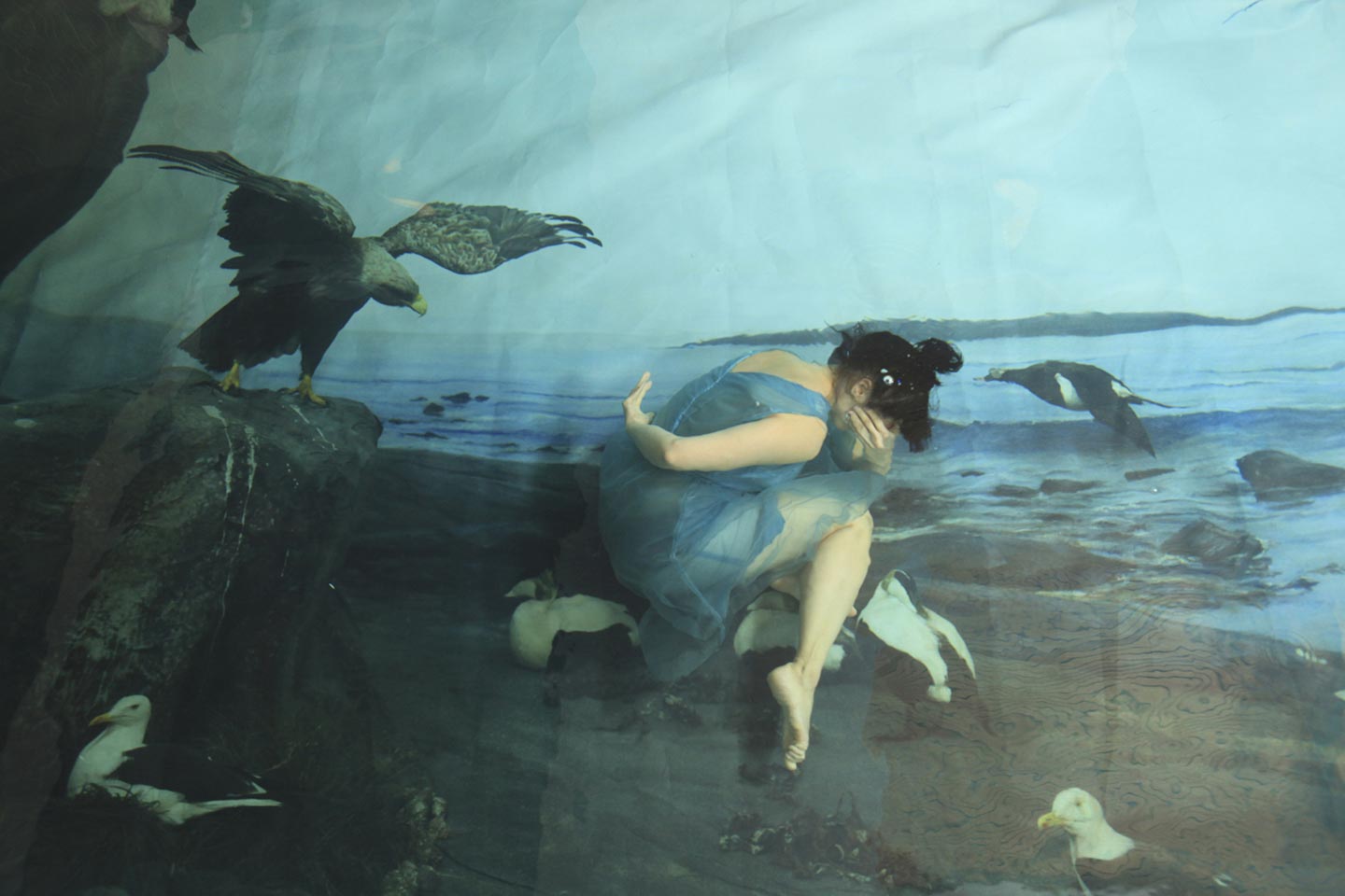 Sense of Water © Susanna Majuri
