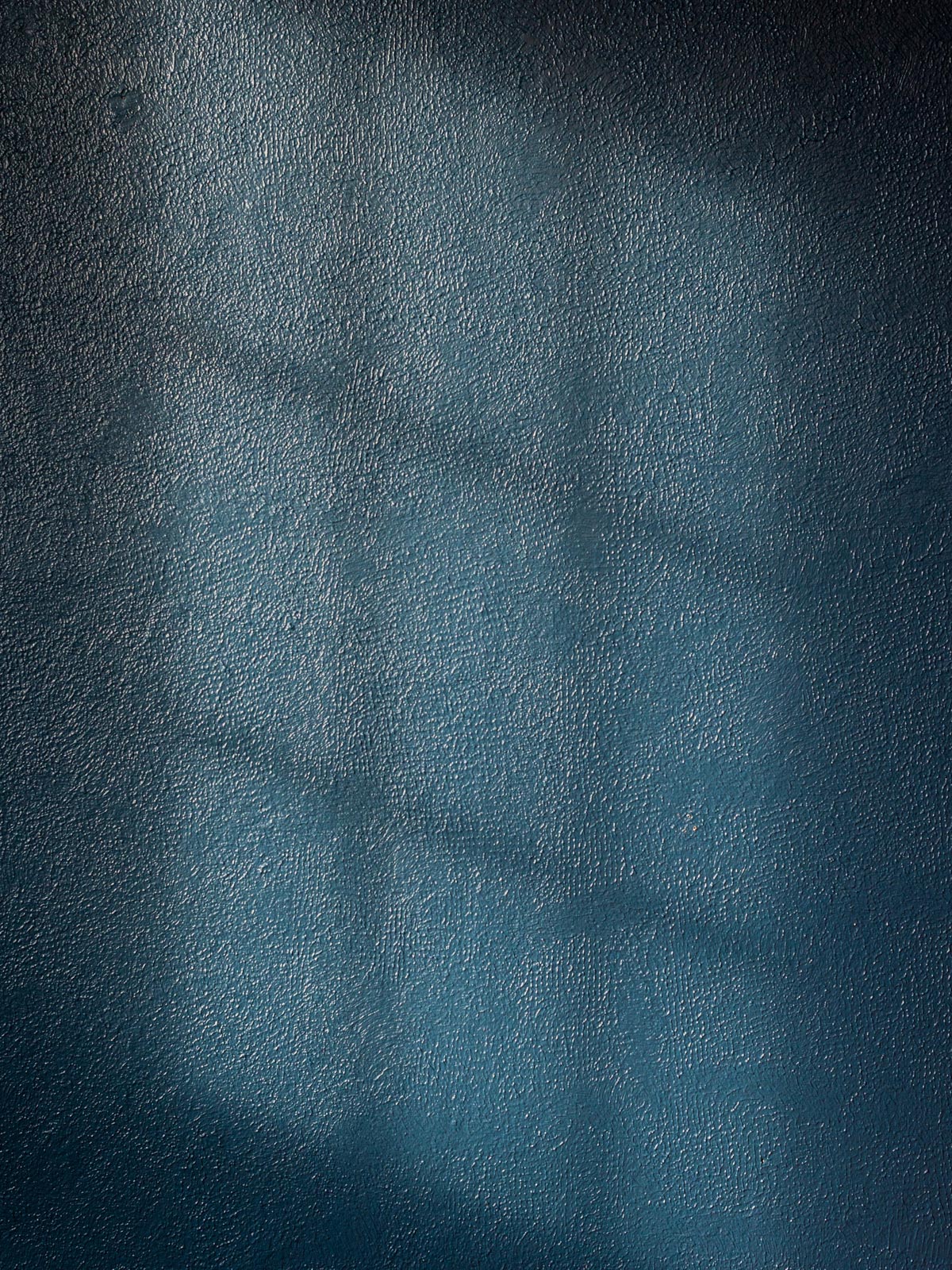 The Rug's Topography © Rana Young