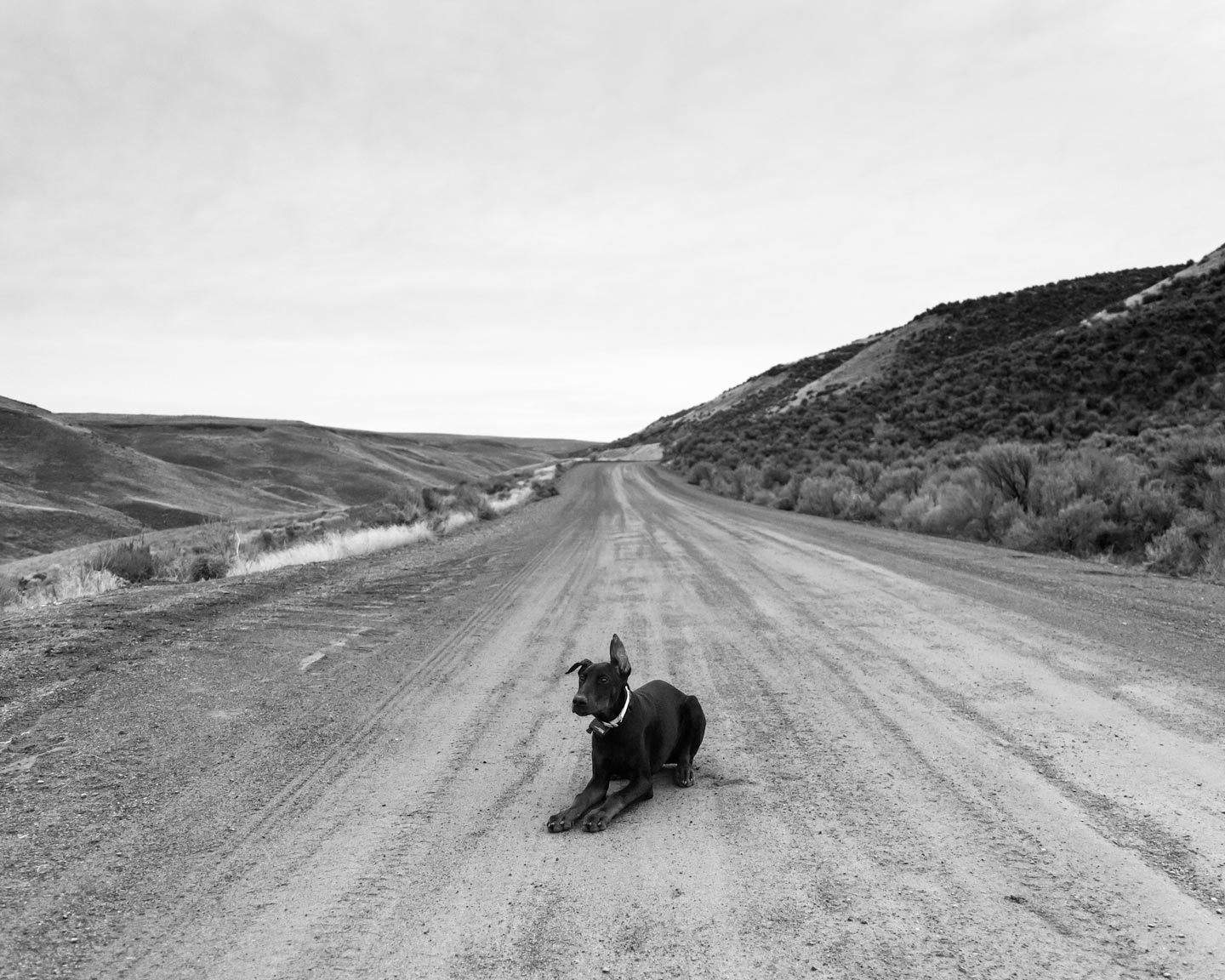 This Is Bliss © Jon Horvath