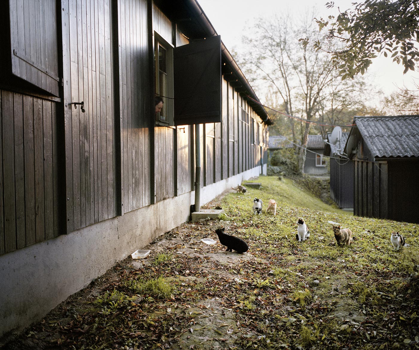 Bois des Frères © Delphine Schacher