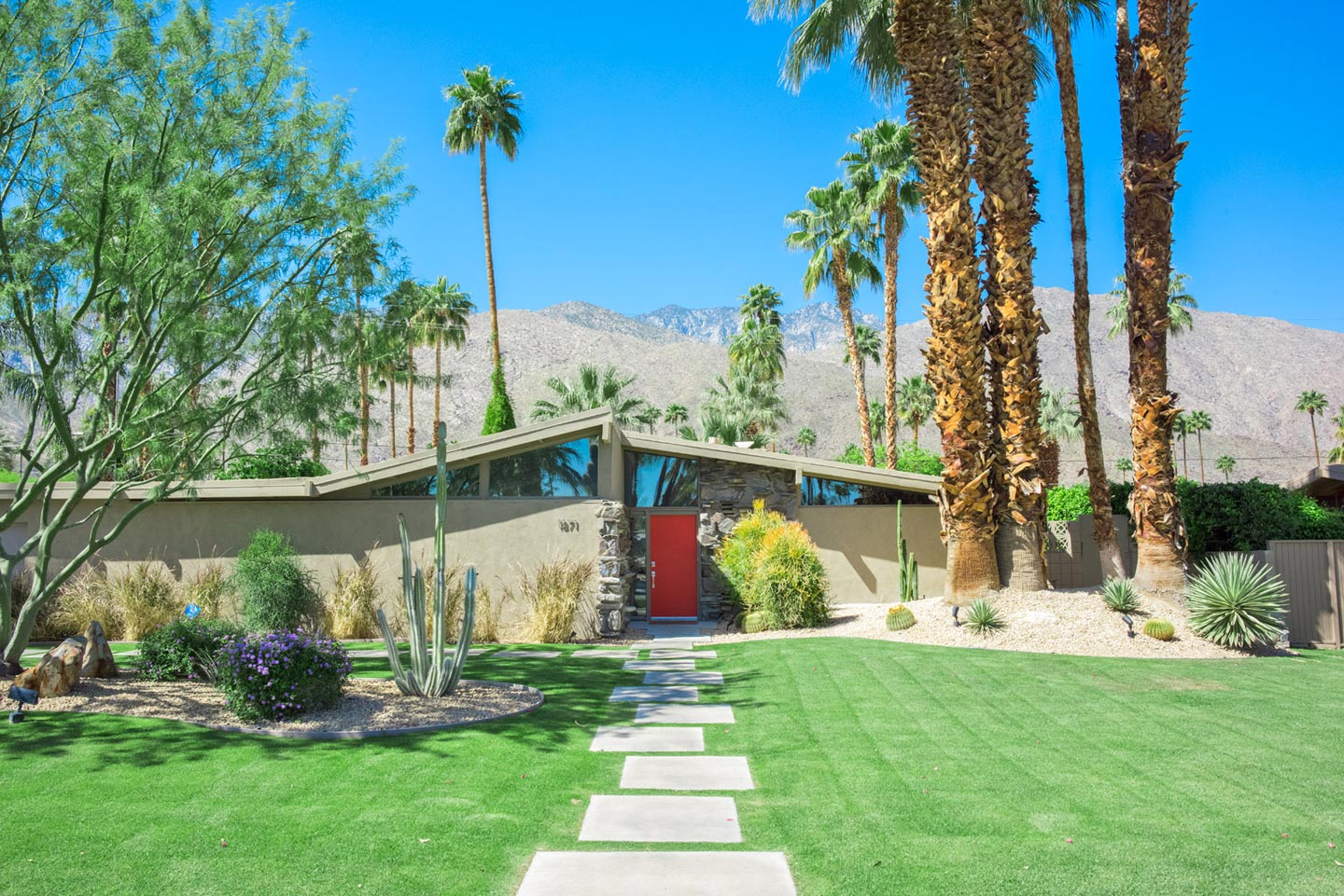 Twin Palms © Matt Henry