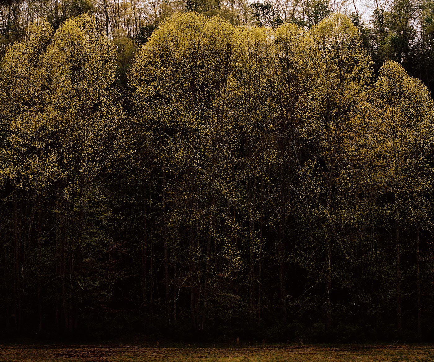 The Prevailing Winds of Hills and Heritage © Aaron Blum
