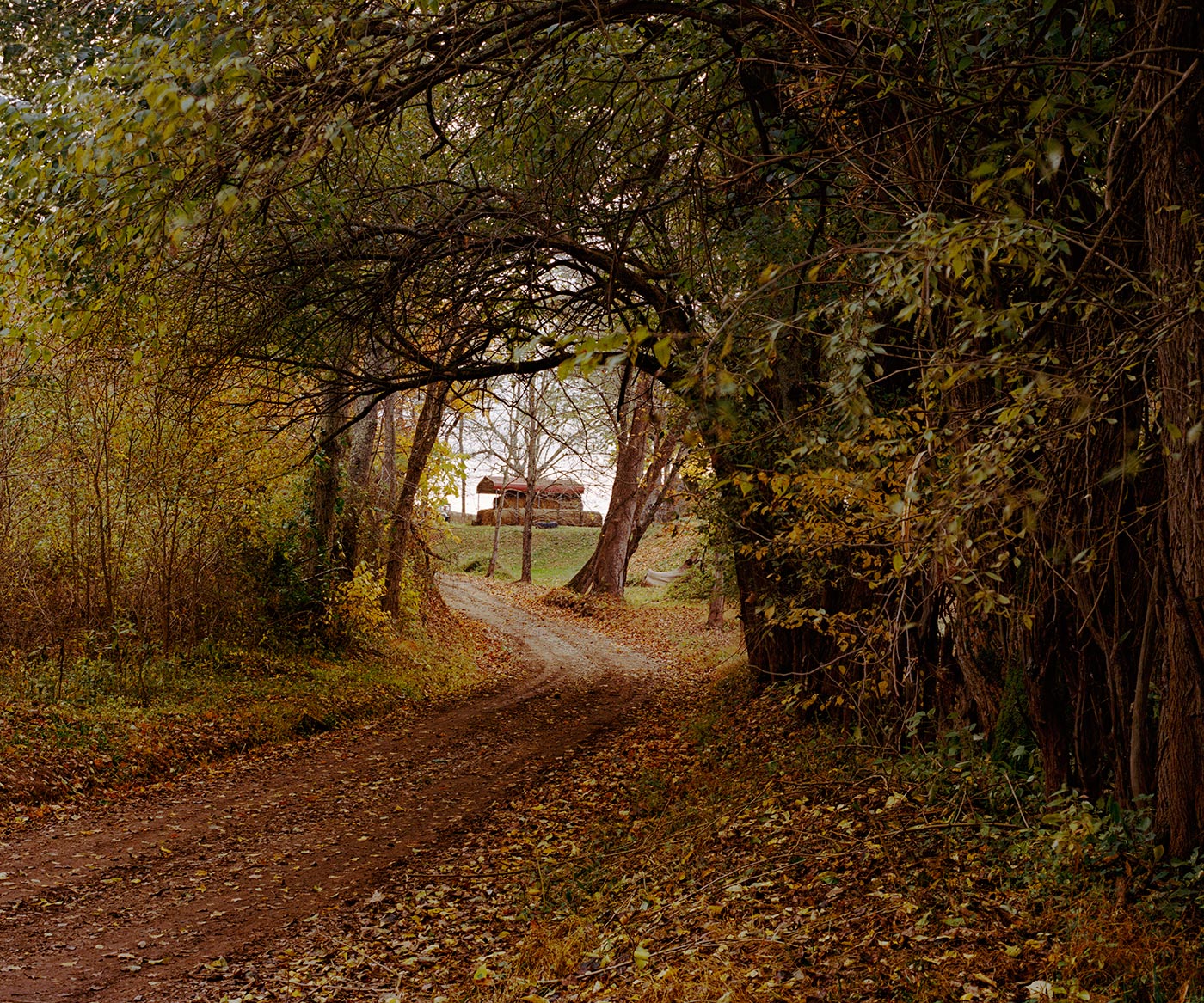 The Prevailing Winds of Hills and Heritage © Aaron Blum