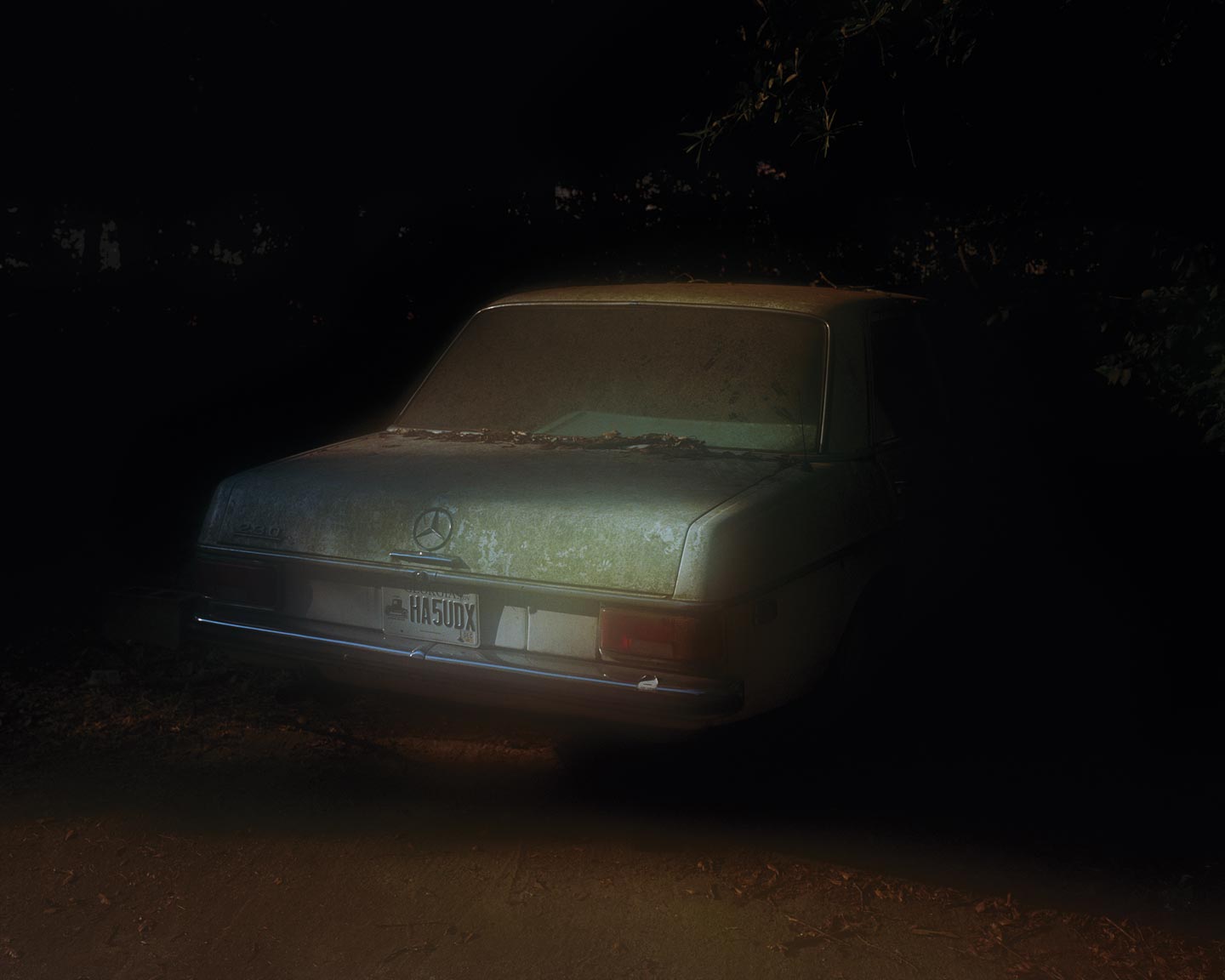 One Sun, One Shadow © Shane Lavalette