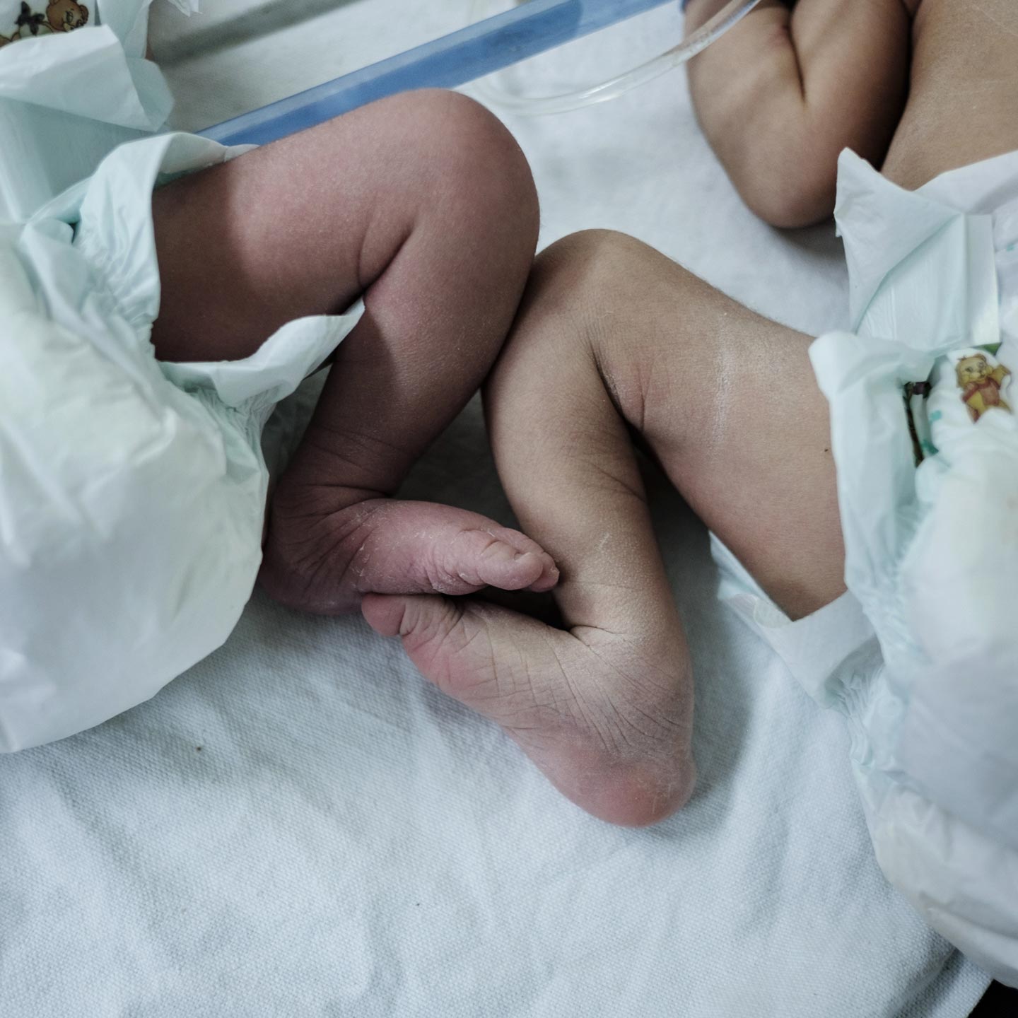 Habibi © Antonio Faccilongo