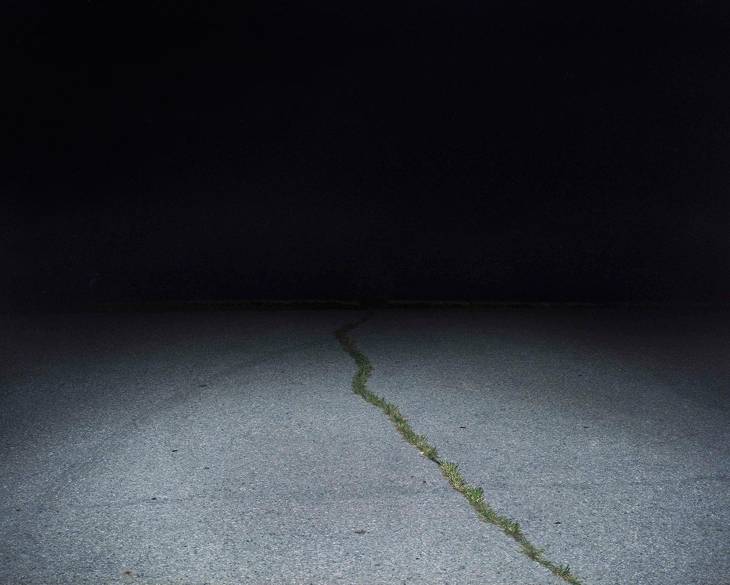Nightlife © Adam Cade