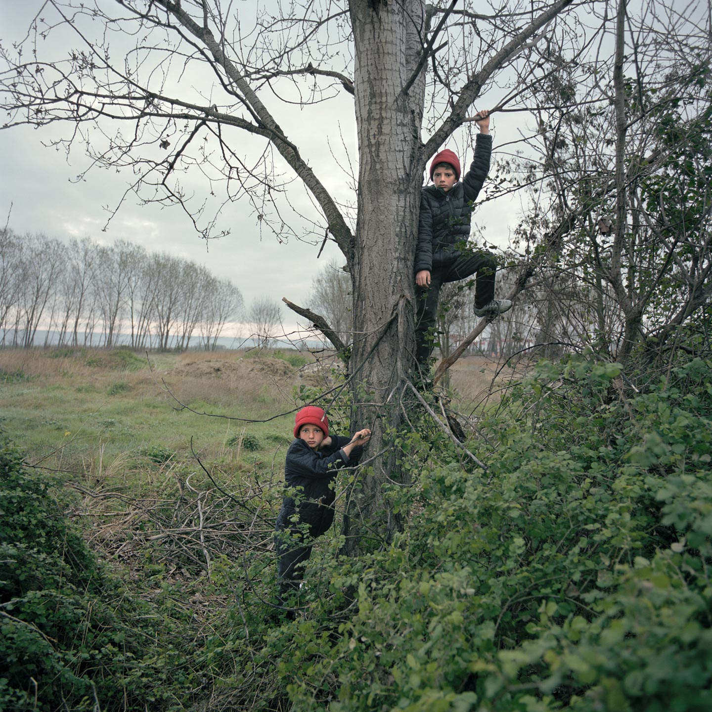 CAESURA © Demetris Koilalous