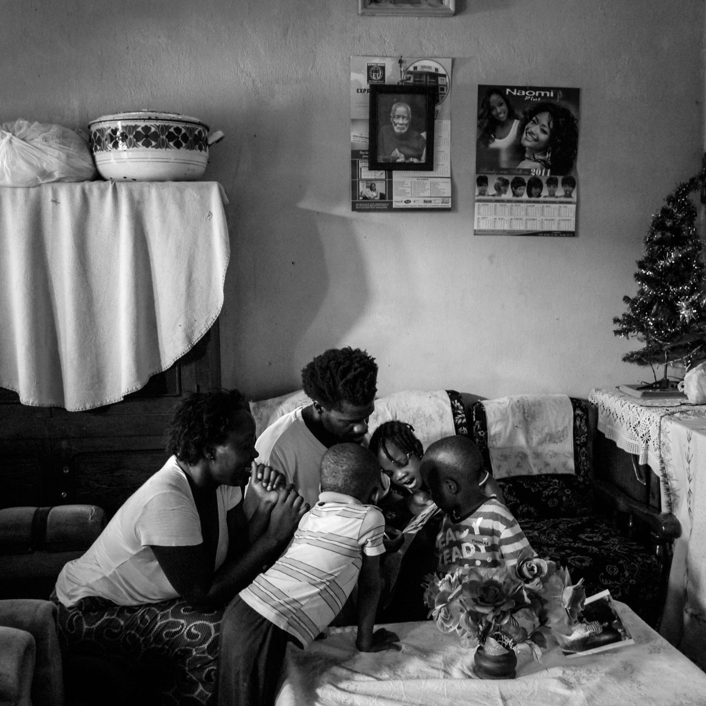 Kin © Emily Schiffer