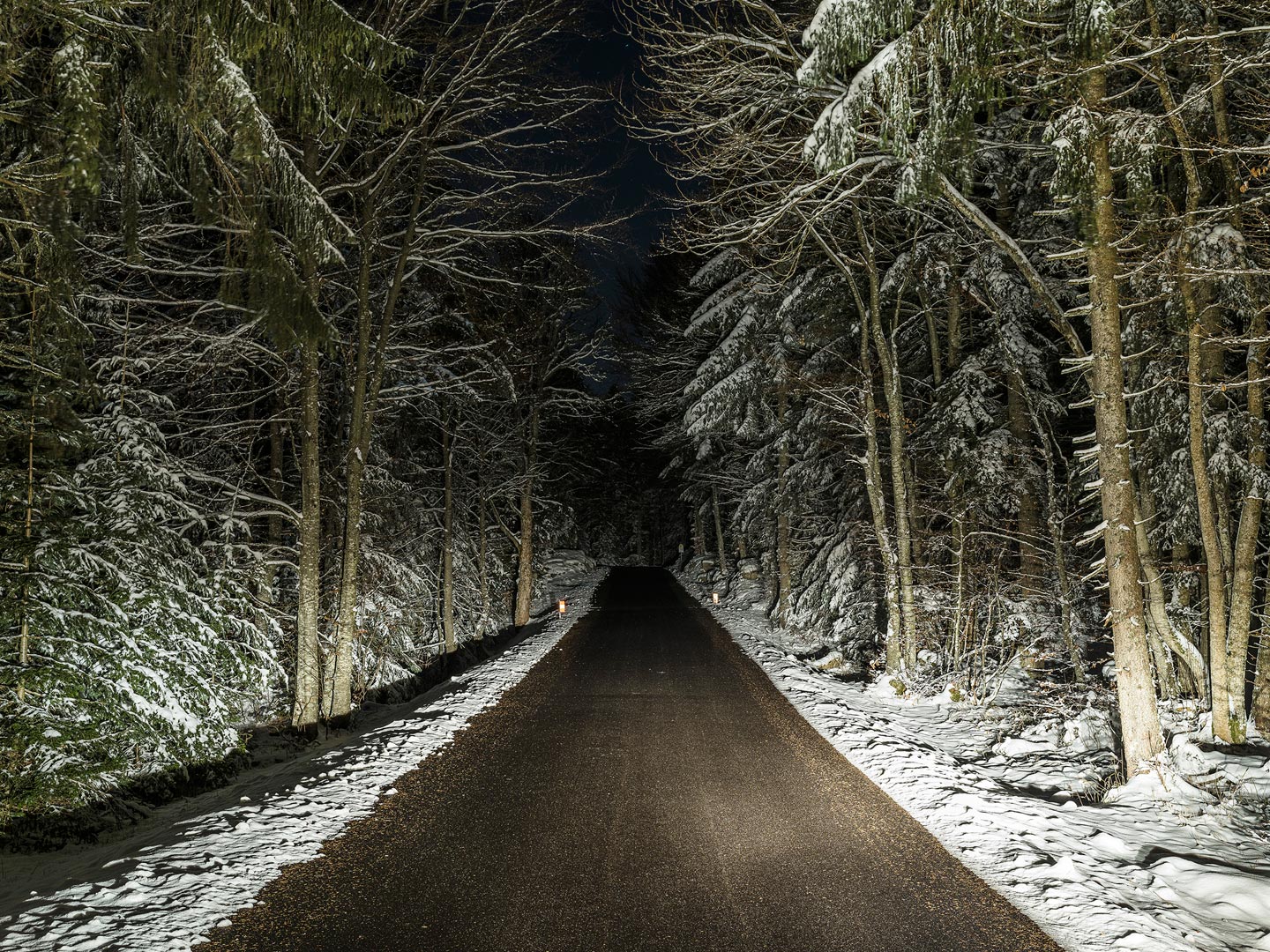 Pilosus © Renaud Marion