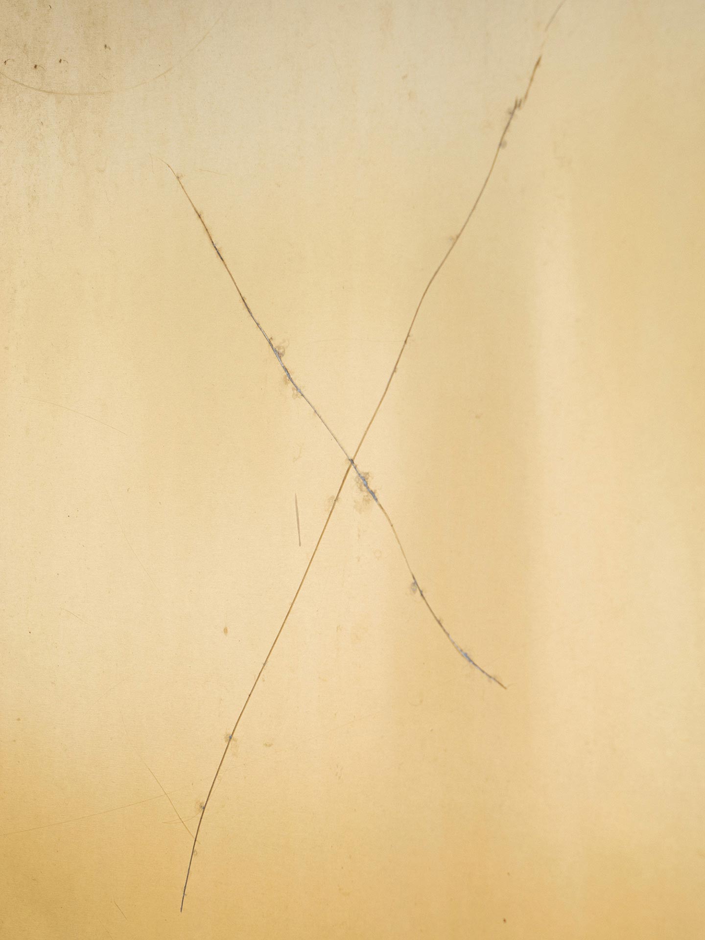 Radici © Fabrizio Albertini
