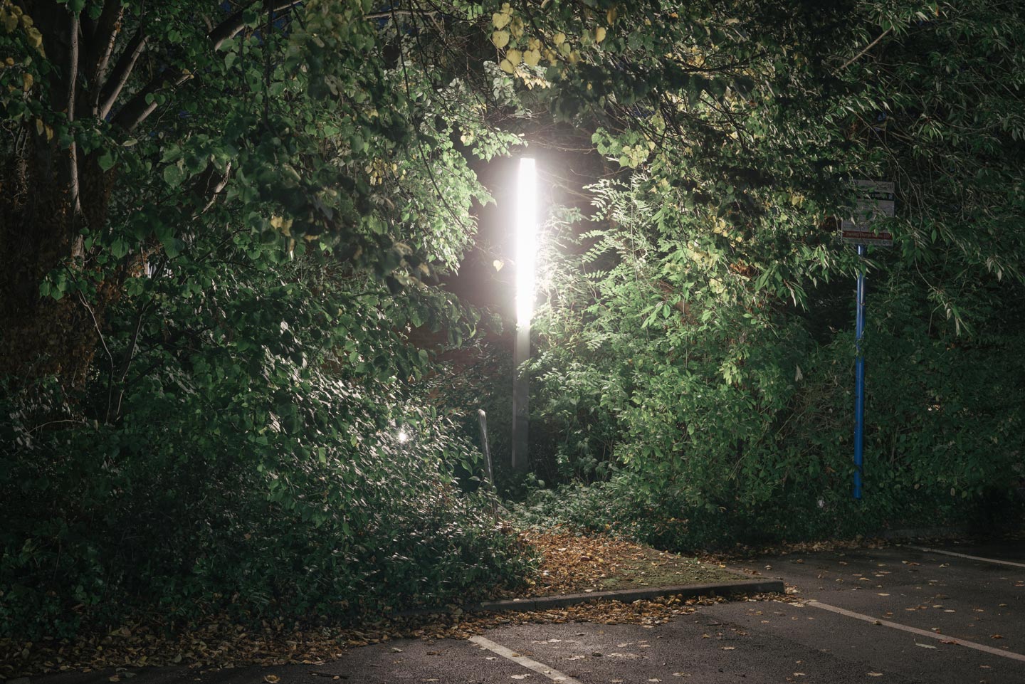 Incidental View © Andy Feltham