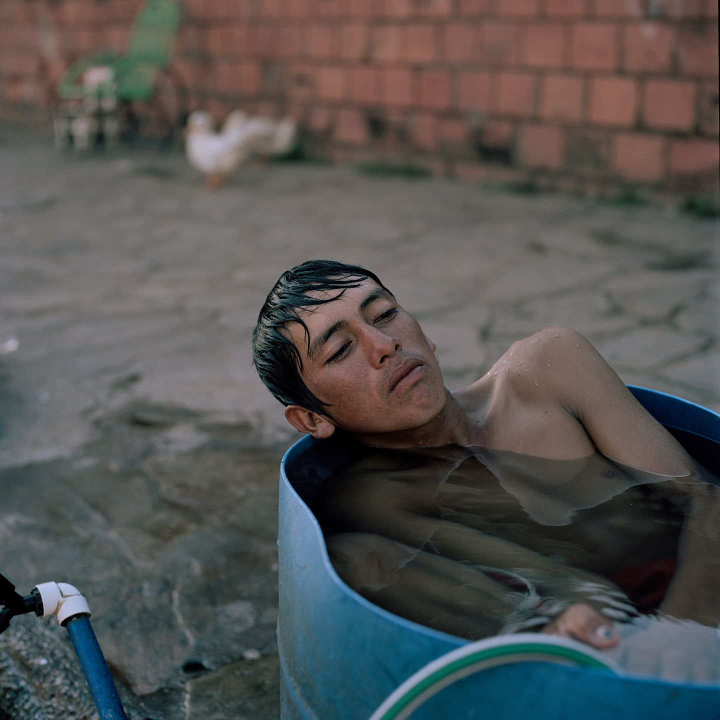 The United Soya Republic © Jordi Ruiz Cirera