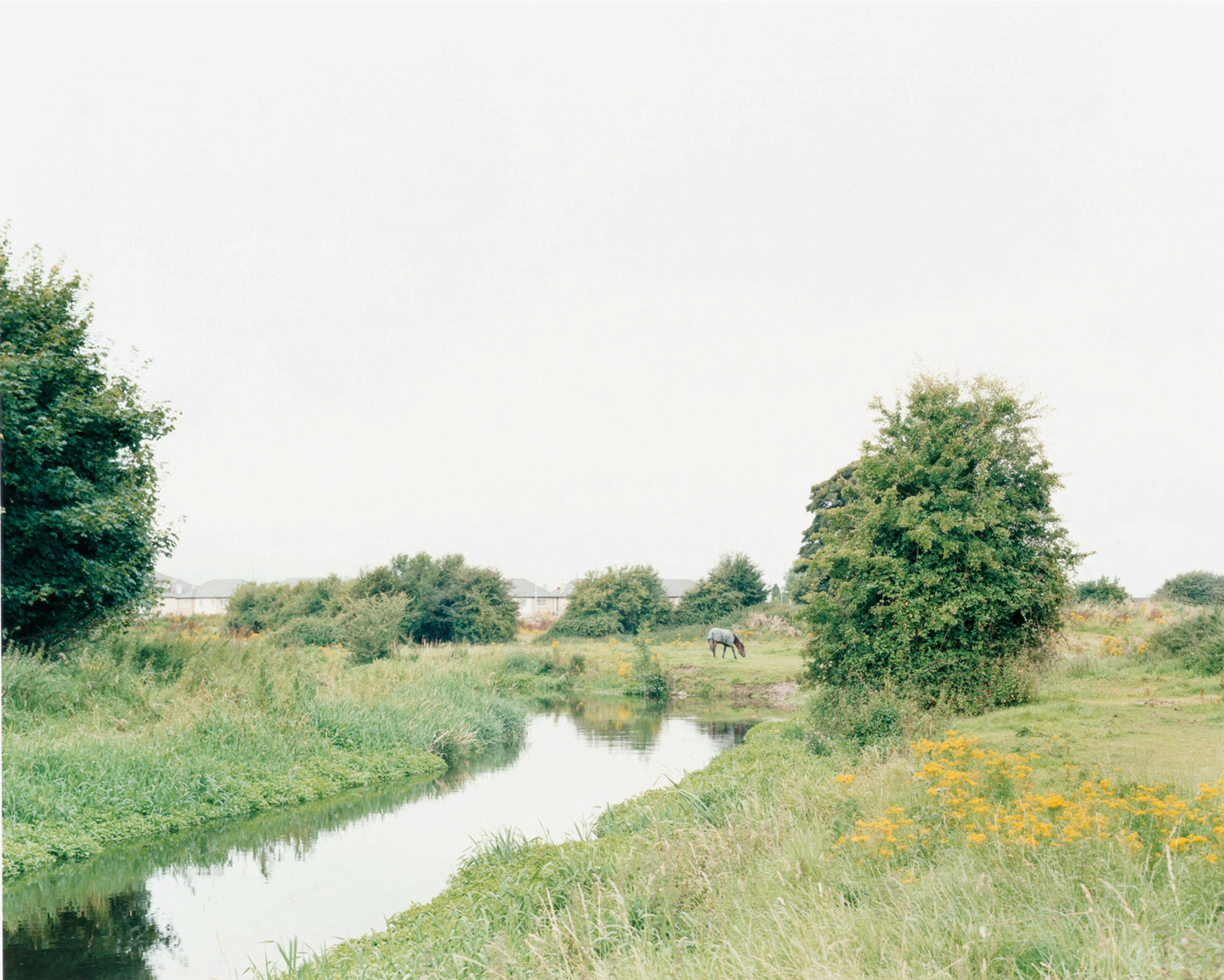 At Mirrored River © Enda Bowe