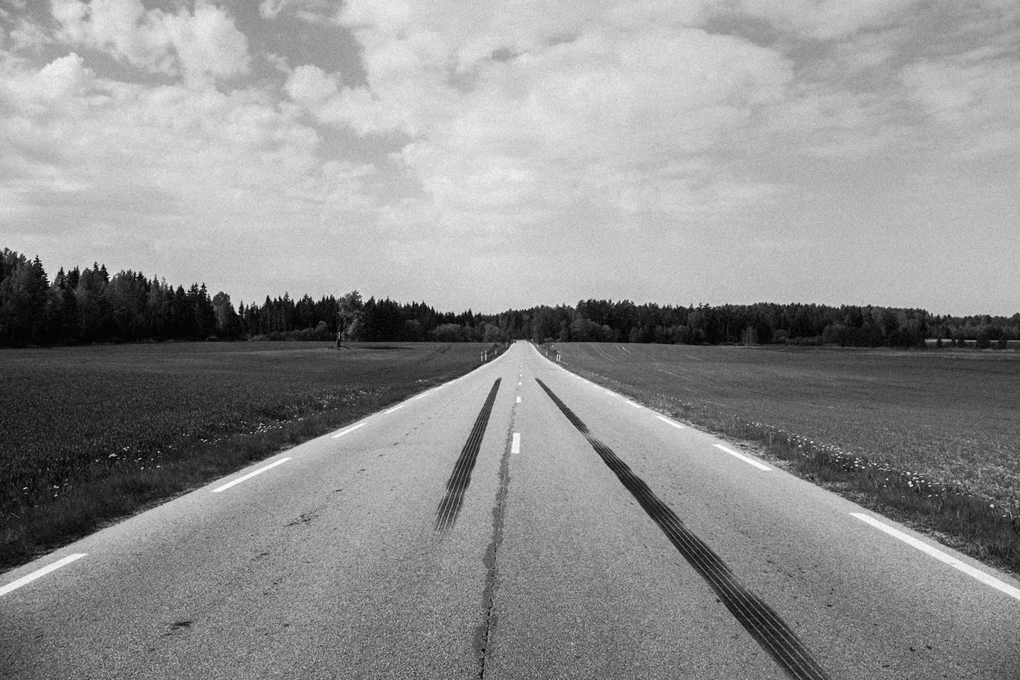 How Is Life? © Hannes Jung