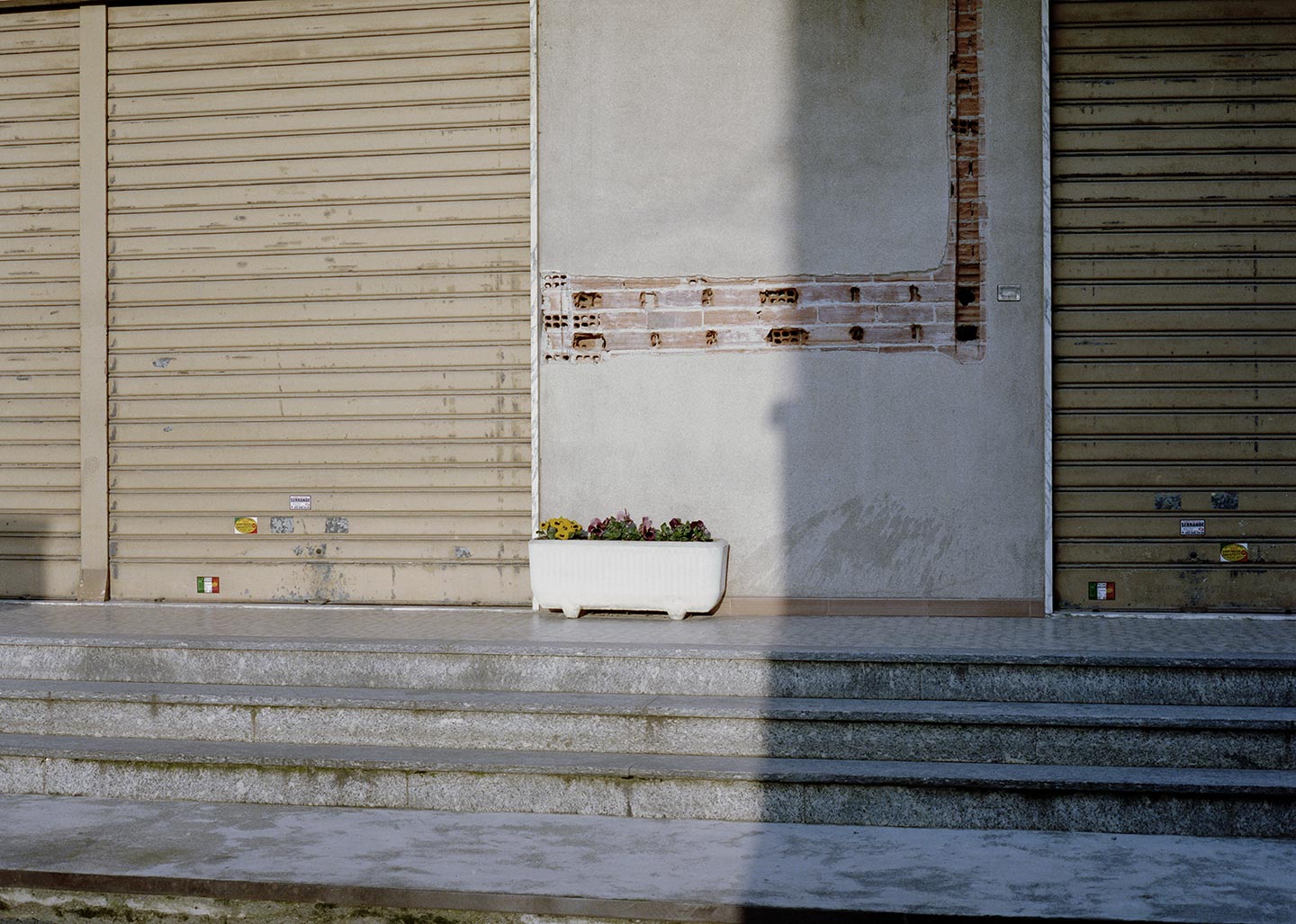 Follemente © Federico Aimar