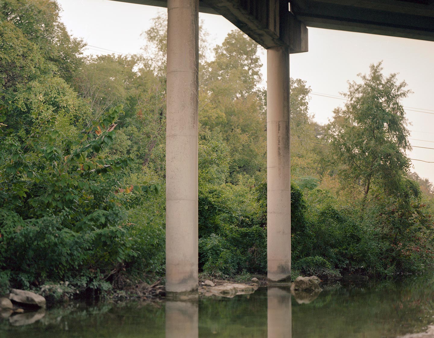 Creek © Joanna Kulesza