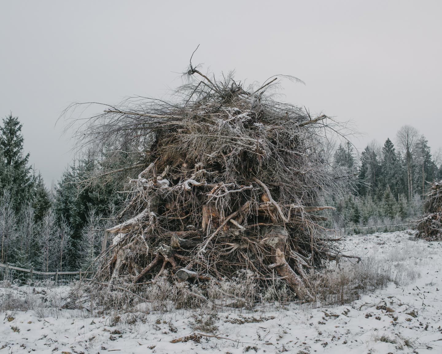 Slash & Burn © Terje Abusdal