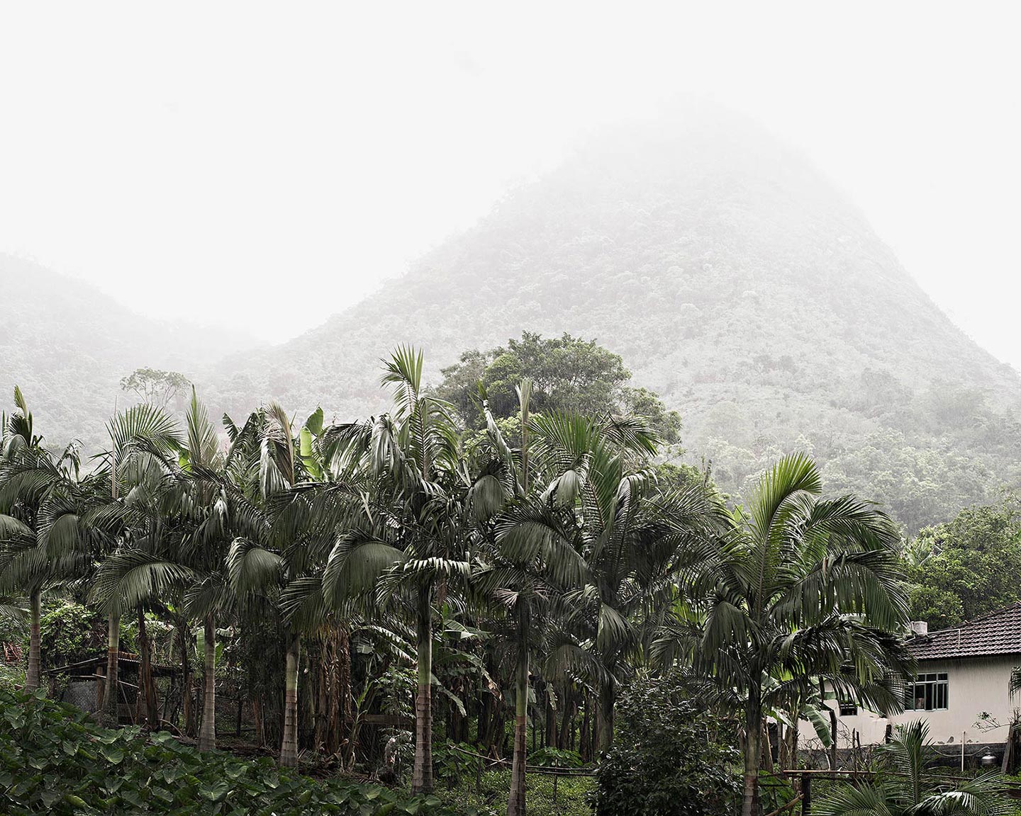 Boaventura © Thomas Brasey