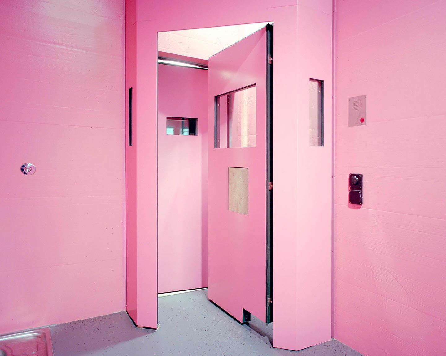 Pink Cells © Angélique Stehli