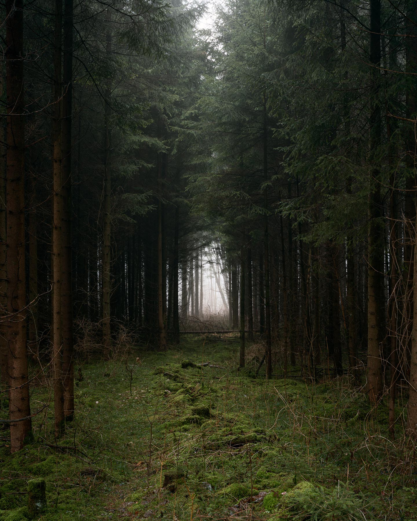 295 Kilometers © Martin Friederich