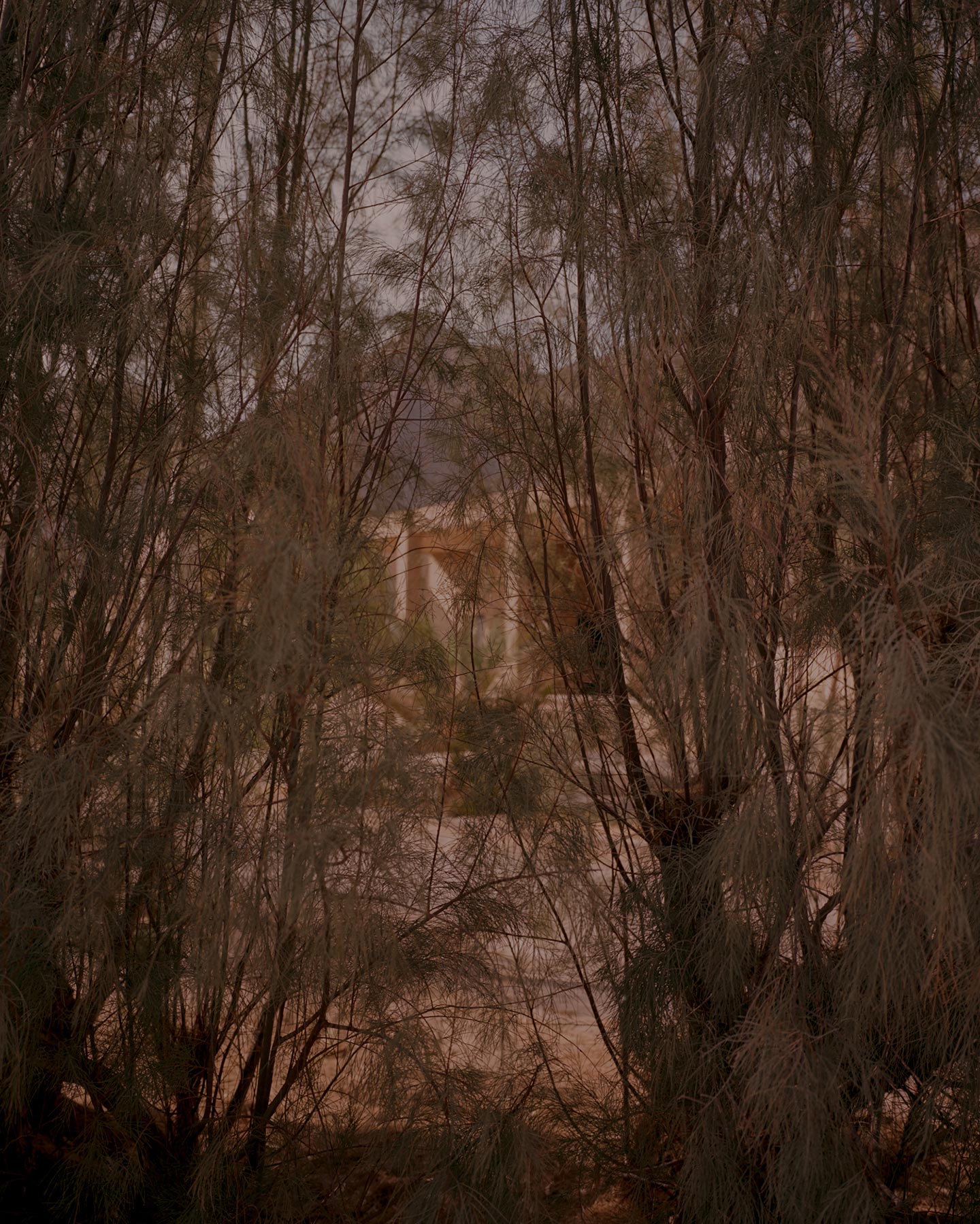 Through the Walls © Matthieu Litt