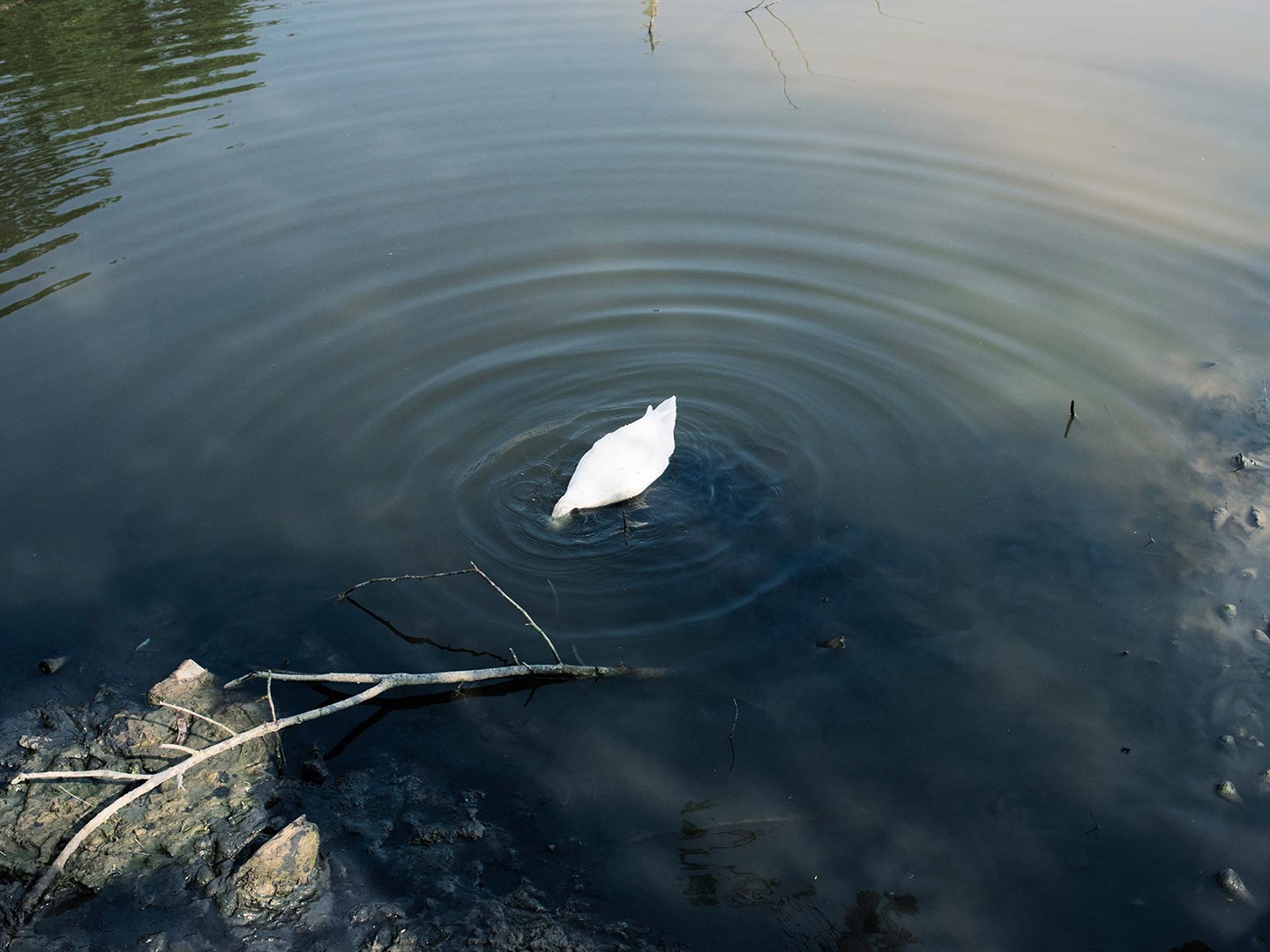 Ebbing Away of Identity with the Tides © Sushavan Nandy