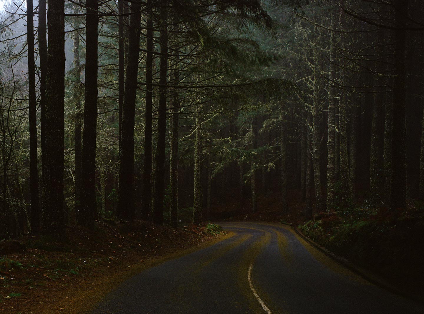 Spellbinding Photos Of The Island Of Madeira (by Stanley Bloom) 