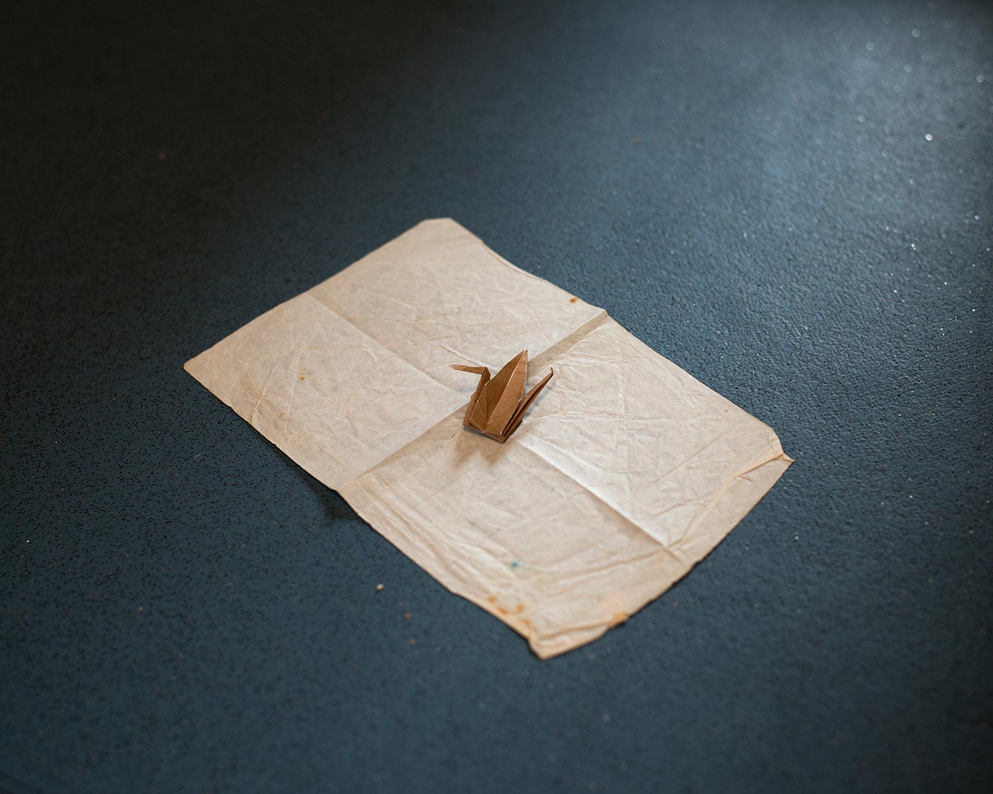 God Has No Favourites © Lauren Forster