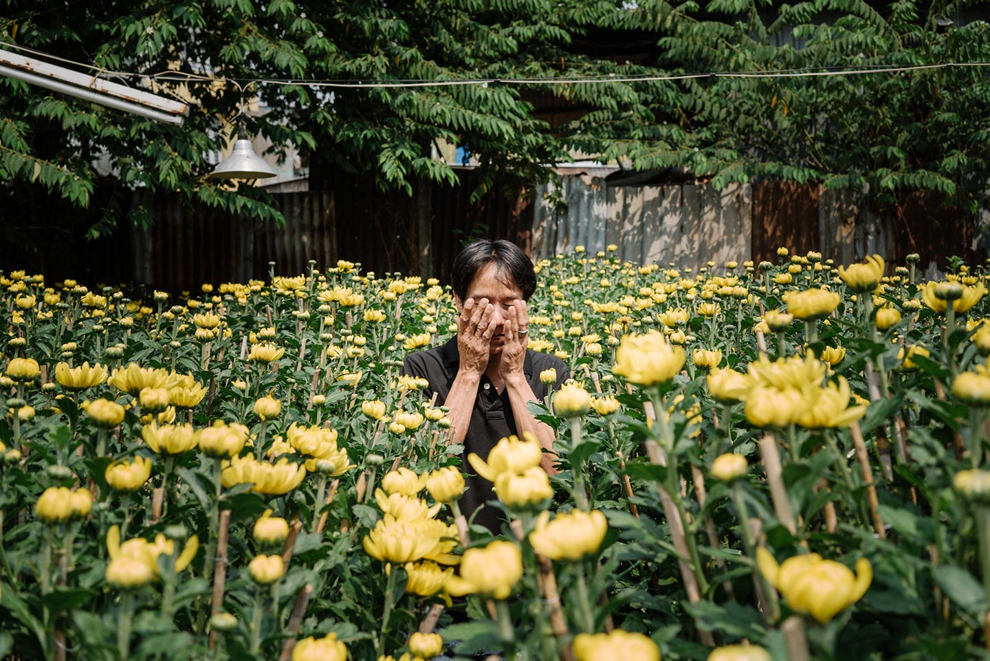 Charlie Surfs on Lotus Flowers © Simone Sapienza