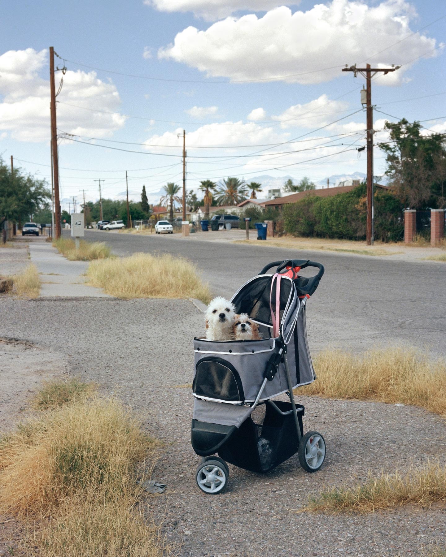Field Book © Jordan Putt