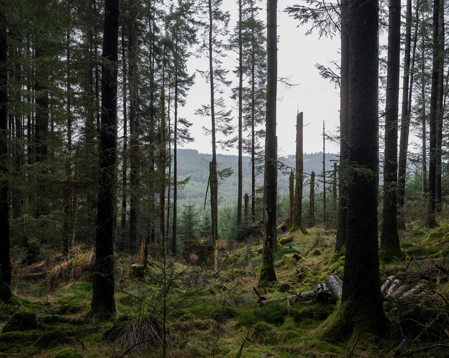 The Moor © Robert Darch
